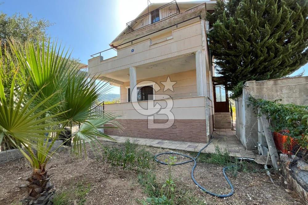 Buca Kaynaklar Merkez 2439 m2 Tek Tapu Resmi Evi Olan Satılık Zeytinli Bağ
