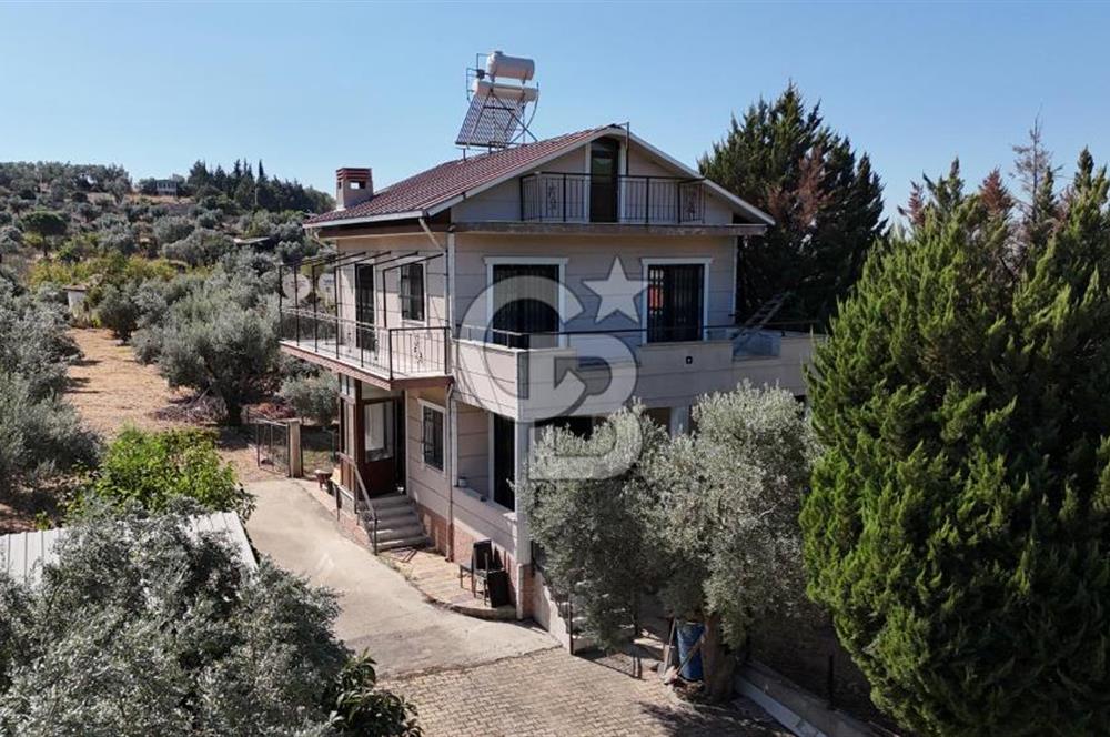 Buca Kaynaklar Merkez 2439 m2 Tek Tapu Resmi Evi Olan Satılık Zeytinli Bağ
