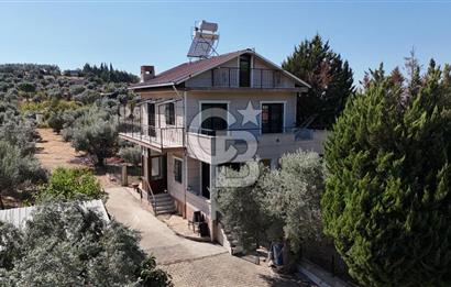 Buca Kaynaklar Merkez 2439 m2 Tek Tapu Resmi Evi Olan Satılık Zeytinli Bağ