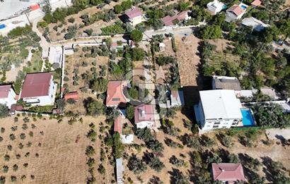 Buca Kaynaklar Merkez 2439 m2 Tek Tapu Resmi Evi Olan Satılık Zeytinli Bağ