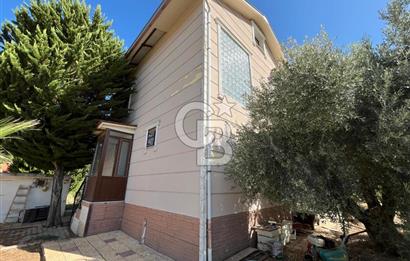Buca Kaynaklar Merkez 2439 m2 Tek Tapu Resmi Evi Olan Satılık Zeytinli Bağ