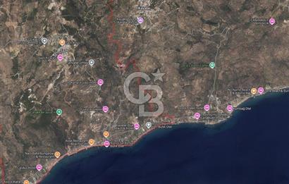 AYVACIK'TA SAZLI DERETARLADA YATIRIMLIK ZEYTİNLİK FIRSATI