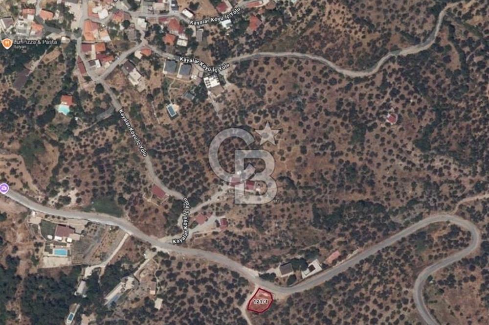 AYVACIK KAYALAR’DA YOLA SIFIR MÜSTAKİL ZEYTİNLİK
