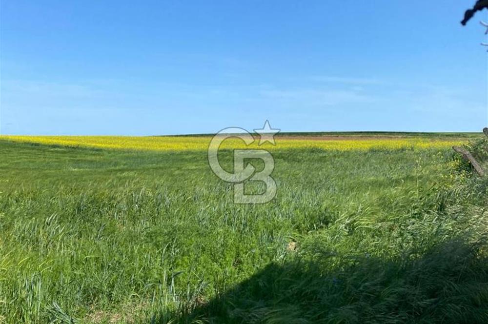Yeniçiftlik Çorlu Yolu Üzeri Yatırımlık Hisseli Tarla
