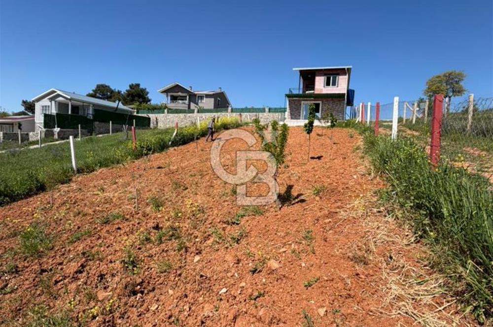 KEMALPAŞA DAMLACIKTA PREFABRİK EVLi 400 m² ARSA