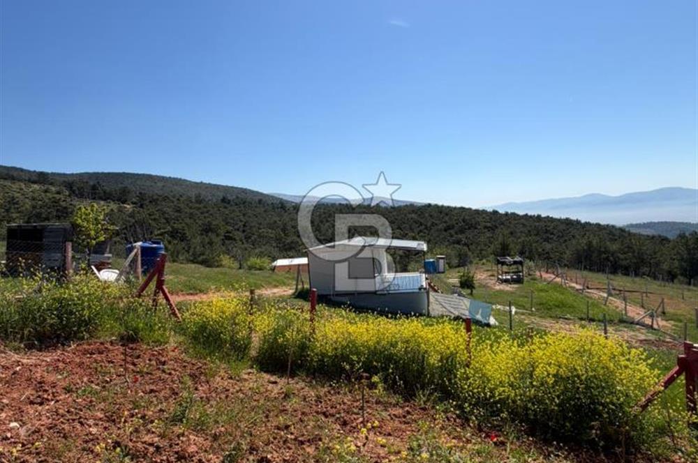 KEMALPAŞA DAMLACIKTA PREFABRİK EVLi 400 m² ARSA
