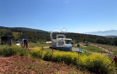 KEMALPAŞA DAMLACIKTA PREFABRİK EVLi 400 m² ARSA