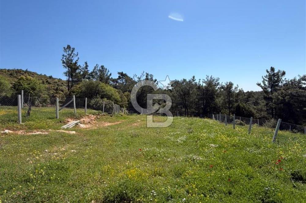 KEMALPAŞA DAMLACIKTA PREFABRİK EVLi 400 m² ARSA