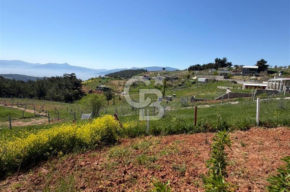 KEMALPAŞA DAMLACIKTA PREFABRİK EVLi 400 m² ARSA