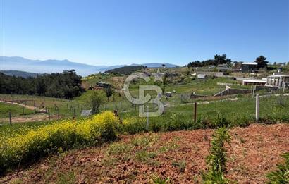 KEMALPAŞA DAMLACIKTA PREFABRİK EVLi 400 m² ARSA