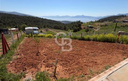 KEMALPAŞA DAMLACIKTA PREFABRİK EVLi 400 m² ARSA