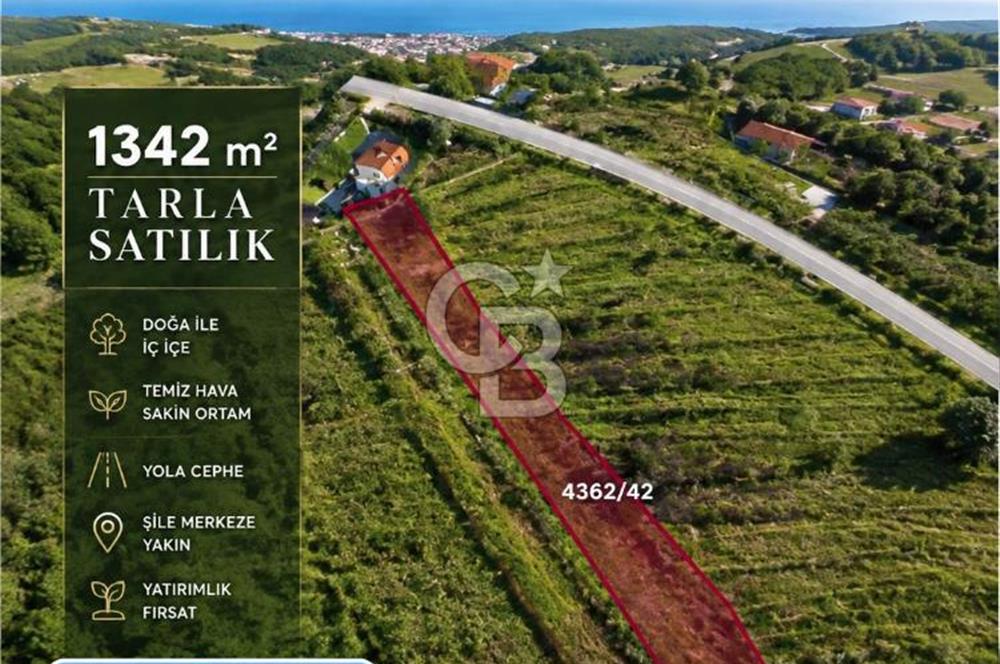 ŞİLE GEREDELİDE 1.342 m² DOĞAYLA İÇ İÇE SATILIK TARLA