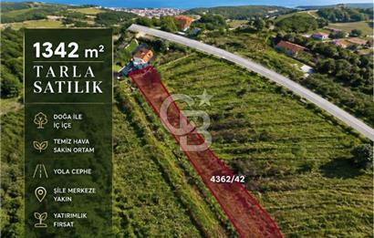 ŞİLE GEREDELİDE 1.342 m² DOĞAYLA İÇ İÇE SATILIK TARLA