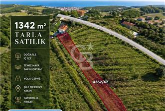 ŞİLE GEREDELİDE 1.342 m² DOĞAYLA İÇ İÇE SATILIK TARLA - 4 - 371778