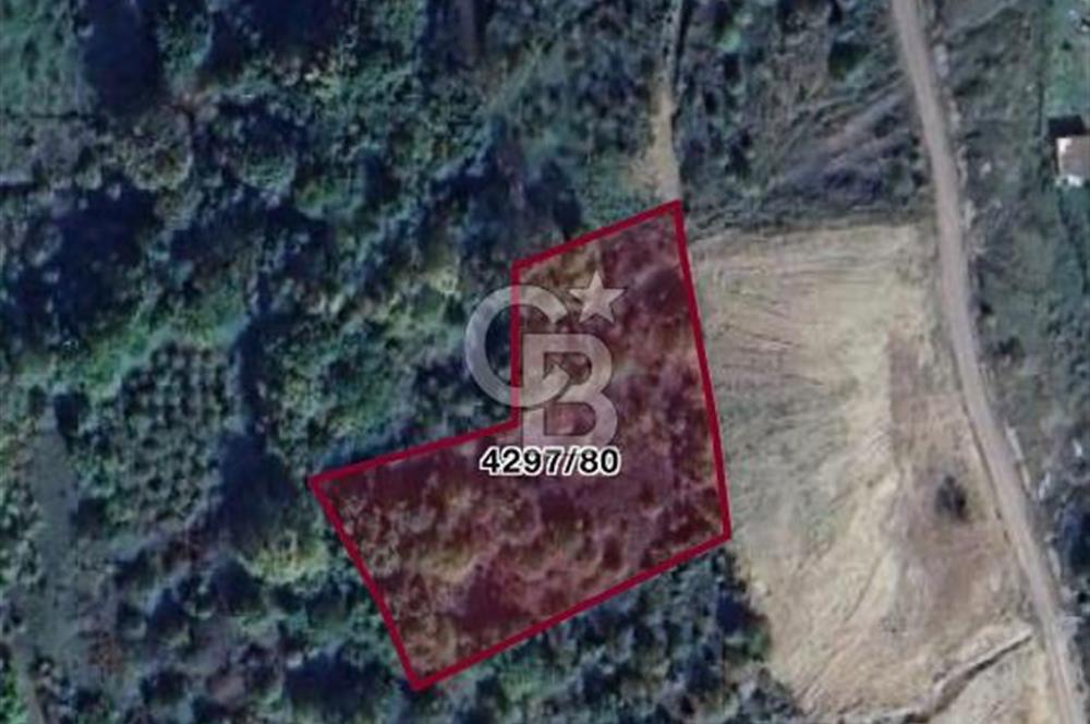 ŞİLE GEREDELİDE DOĞAYLA İÇ İÇE 3.229 M² GENİŞ ARAZİ