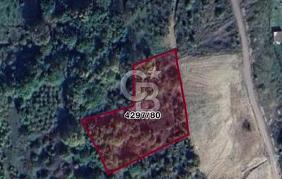 ŞİLE GEREDELİDE DOĞAYLA İÇ İÇE 3.229 M² GENİŞ ARAZİ
