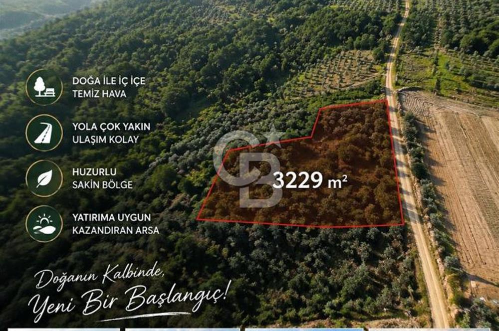 ŞİLE GEREDELİDE DOĞAYLA İÇ İÇE 3.229 M² GENİŞ ARAZİ
