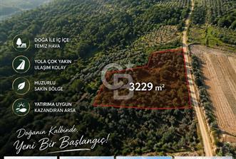 ŞİLE GEREDELİDE DOĞAYLA İÇ İÇE 3.229 M² GENİŞ ARAZİ - 3 - 371780