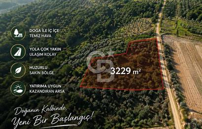 ŞİLE GEREDELİDE DOĞAYLA İÇ İÇE 3.229 M² GENİŞ ARAZİ