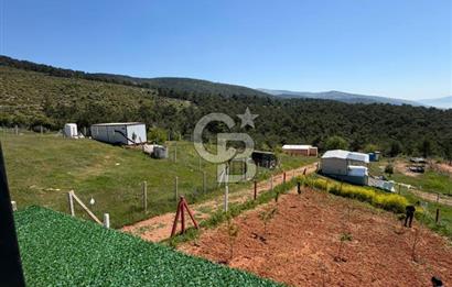 KEMALPAŞA DAMLACIKTA PREFABRİK EVLi 400 m² ARSA