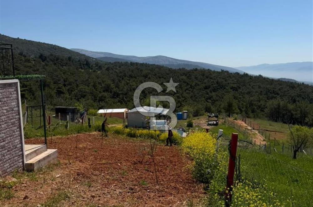 KEMALPAŞA DAMLACIKTA PREFABRİK EVLi 400 m² ARSA