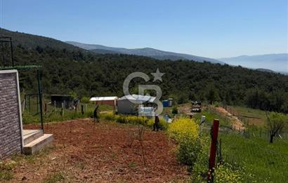 KEMALPAŞA DAMLACIKTA PREFABRİK EVLi 400 m² ARSA