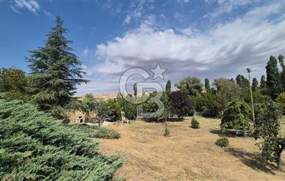 ESKİŞEHİR YOLUNA SIFIR SATILIK 6000 M2 ÇİFTLİK ARAZİSİ VE LÜKS VİLLA