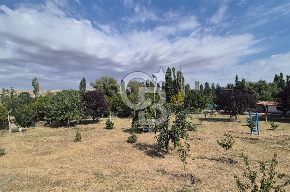 ESKİŞEHİR YOLUNA SIFIR SATILIK 6000 M2 ÇİFTLİK ARAZİSİ VE LÜKS VİLLA