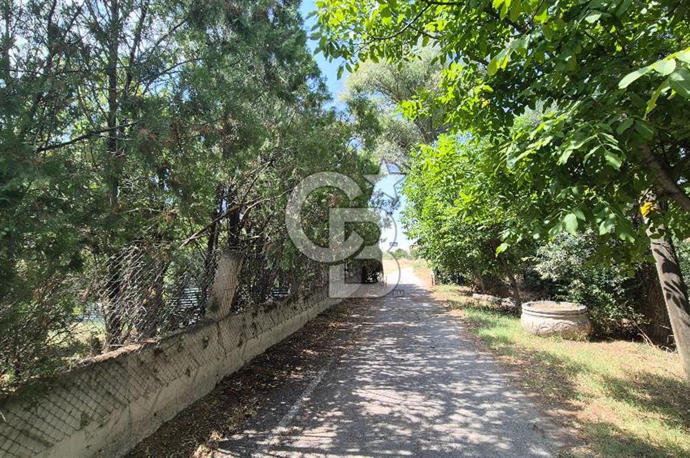 ESKİŞEHİR YOLUNA SIFIR SATILIK 6000 M2 ÇİFTLİK ARAZİSİ VE LÜKS VİLLA