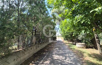 ESKİŞEHİR YOLUNA SIFIR SATILIK 6000 M2 ÇİFTLİK ARAZİSİ VE LÜKS VİLLA