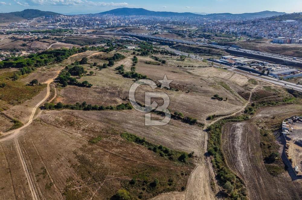 Kuzey Marmara Otoyoluna Yakın 1/1000 Planlı 1.625 m² ArsaHissesi