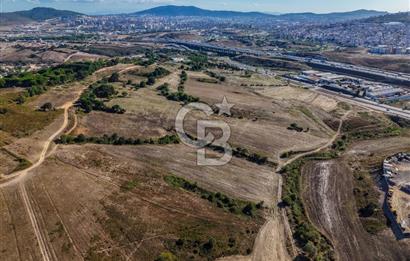 Kuzey Marmara Otoyoluna Yakın 1/1000 Planlı 1.625 m² ArsaHissesi