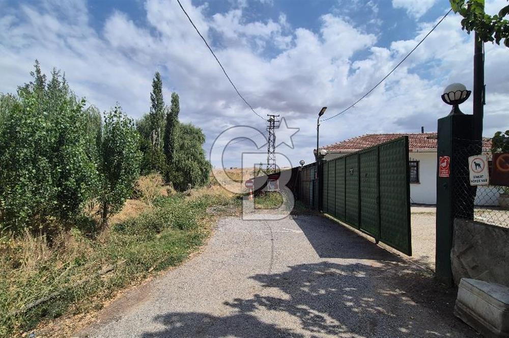 ESKİŞEHİR YOLUNA SIFIR SATILIK 6000 M2 ÇİFTLİK ARAZİSİ VE LÜKS VİLLA