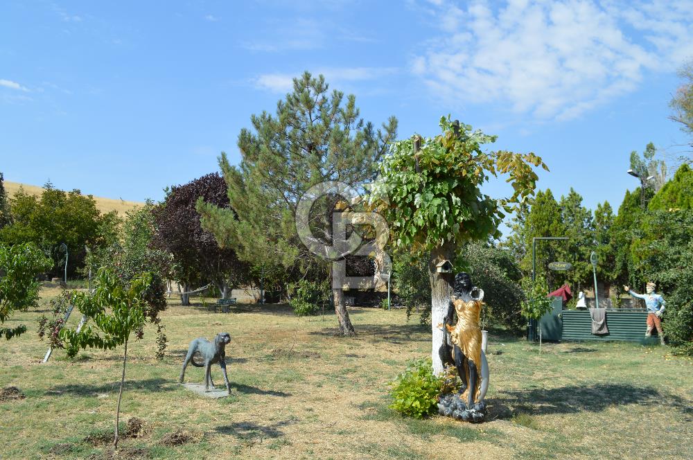 ESKİŞEHİR YOLUNA SIFIR SATILIK 6000 M2 ÇİFTLİK ARAZİSİ VE LÜKS VİLLA