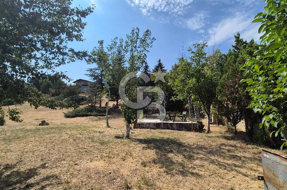 ESKİŞEHİR YOLUNA SIFIR SATILIK 6000 M2 ÇİFTLİK ARAZİSİ VE LÜKS VİLLA