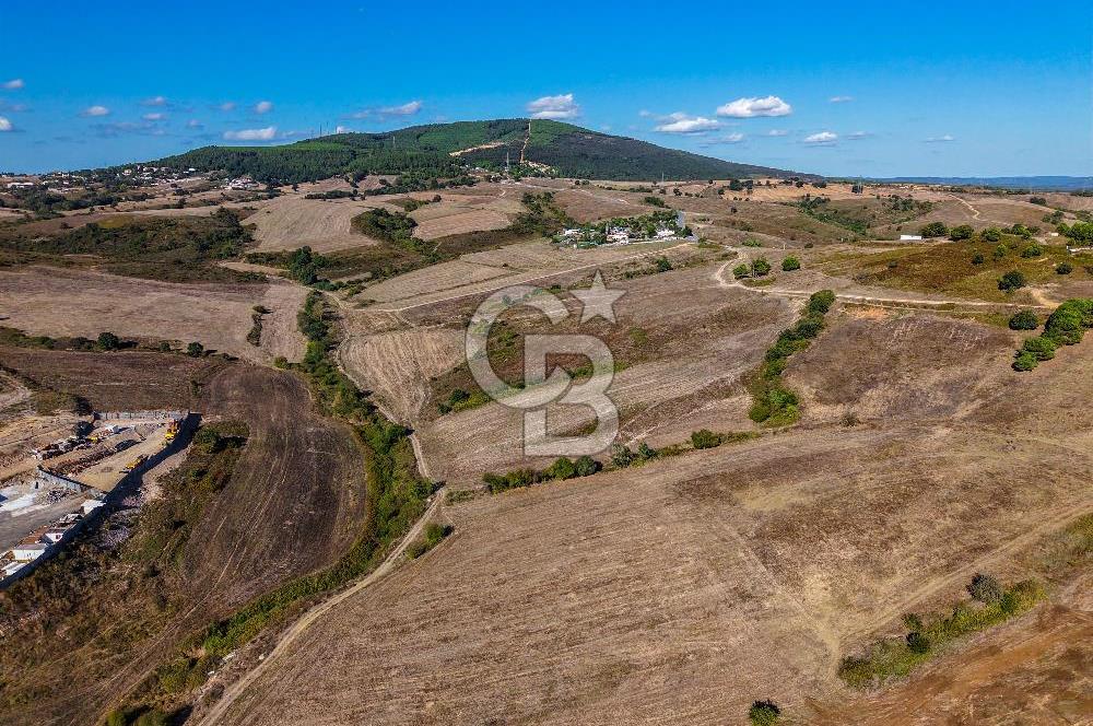 Kuzey Marmara Otoyoluna Yakın 1/1000 Planlı 1.625 m² ArsaHissesi