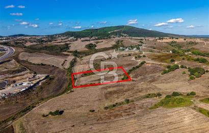 Kuzey Marmara Otoyoluna Yakın 1/1000 Planlı 1.625 m² ArsaHissesi