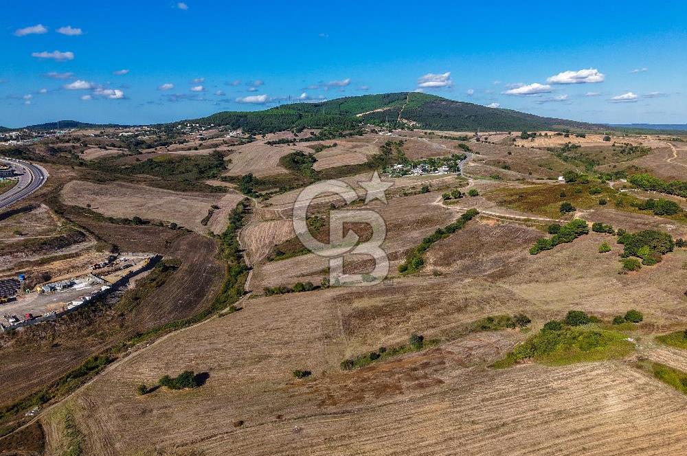 Kuzey Marmara Otoyoluna Yakın 1/1000 Planlı 1.625 m² ArsaHissesi