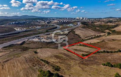 Kuzey Marmara Otoyoluna Yakın 1/1000 Planlı 1.625 m² ArsaHissesi