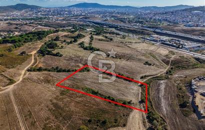 Kuzey Marmara Otoyoluna Yakın 1/1000 Planlı 1.625 m² ArsaHissesi
