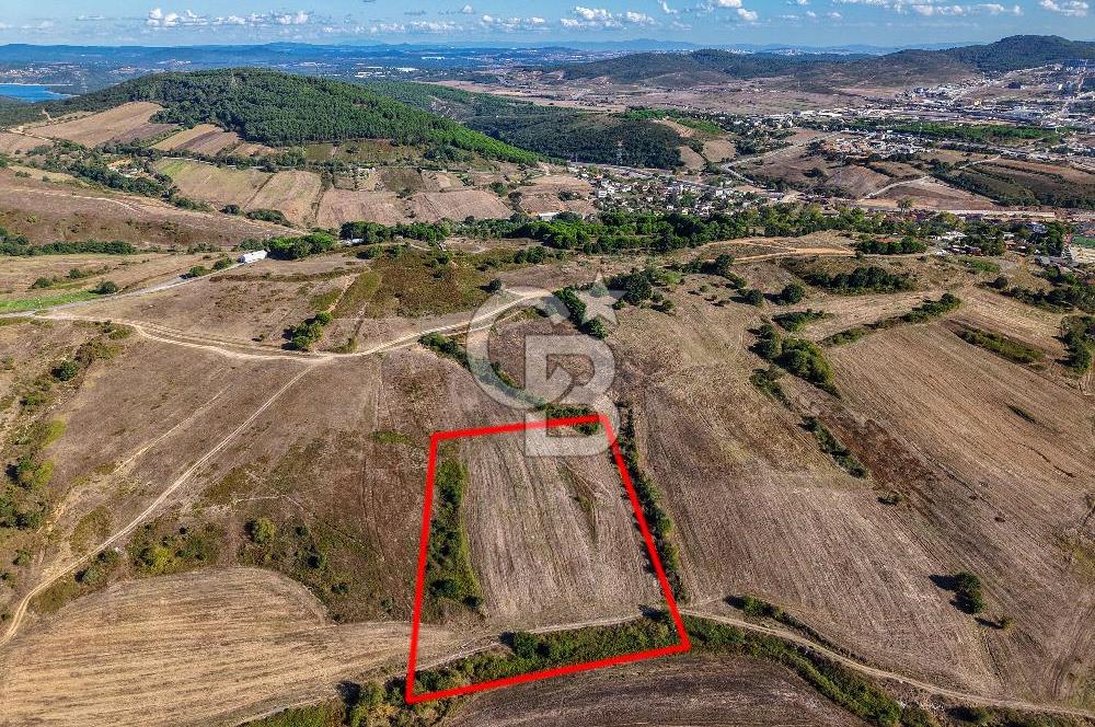 Kuzey Marmara Otoyoluna Yakın 1/1000 Planlı 1.625 m² ArsaHissesi