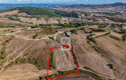 Kuzey Marmara Otoyoluna Yakın 1/1000 Planlı 1.625 m² ArsaHissesi
