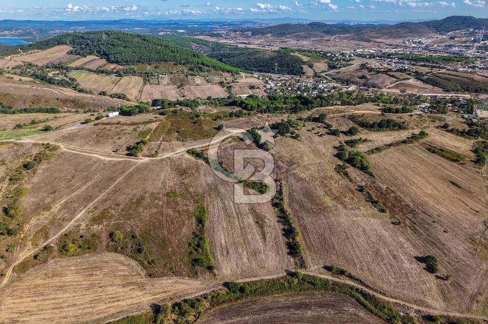 Kuzey Marmara Otoyoluna Yakın 1/1000 Planlı 1.625 m² ArsaHissesi