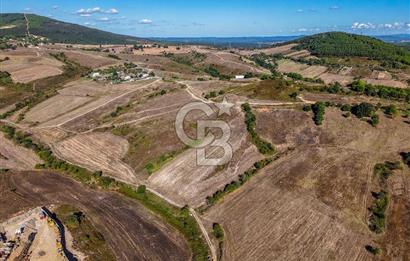 Kuzey Marmara Otoyoluna Yakın 1/1000 Planlı 1.625 m² ArsaHissesi