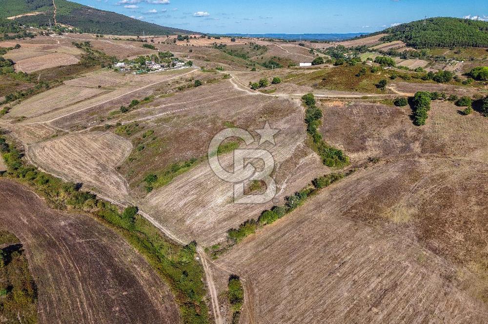 Kuzey Marmara Otoyoluna Yakın 1/1000 Planlı 1.625 m² ArsaHissesi