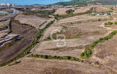 Kuzey Marmara Otoyoluna Yakın 1/1000 Planlı 1.625 m² ArsaHissesi
