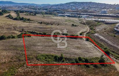 Kuzey Marmara Otoyoluna Yakın 1/1000 Planlı 1.625 m² ArsaHissesi