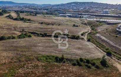 Kuzey Marmara Otoyoluna Yakın 1/1000 Planlı 1.625 m² ArsaHissesi