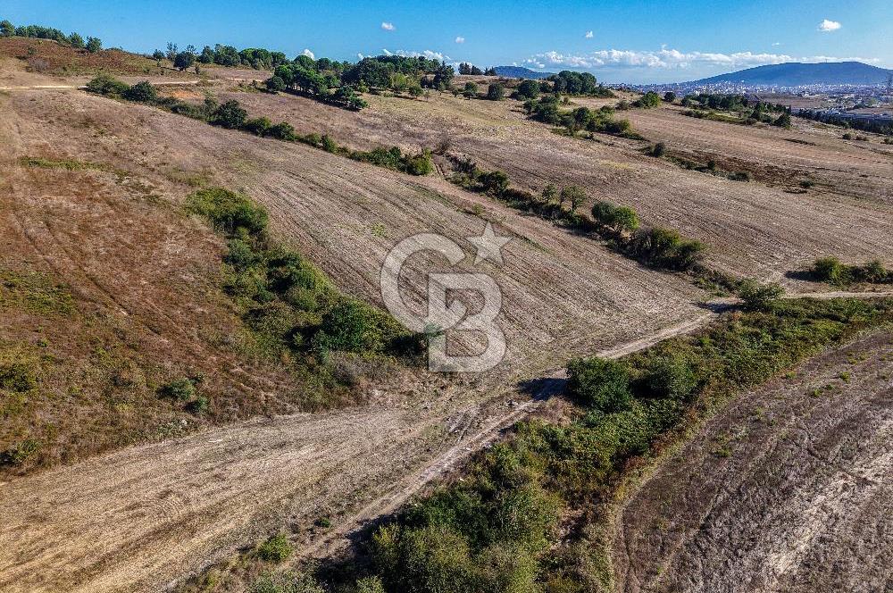Kuzey Marmara Otoyoluna Yakın 1/1000 Planlı 1.625 m² ArsaHissesi