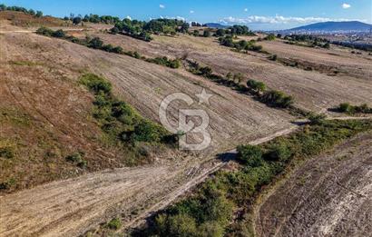 Kuzey Marmara Otoyoluna Yakın 1/1000 Planlı 1.625 m² ArsaHissesi